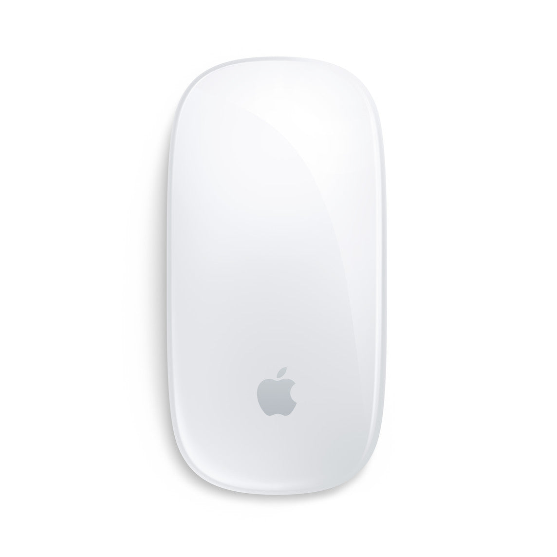 Apple Magic Mouse (Usb-C)