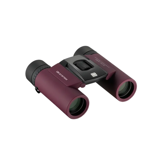 Olympus 8x25 WP II Binoculars