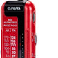 Aiwa R-22 Pocket Radio
