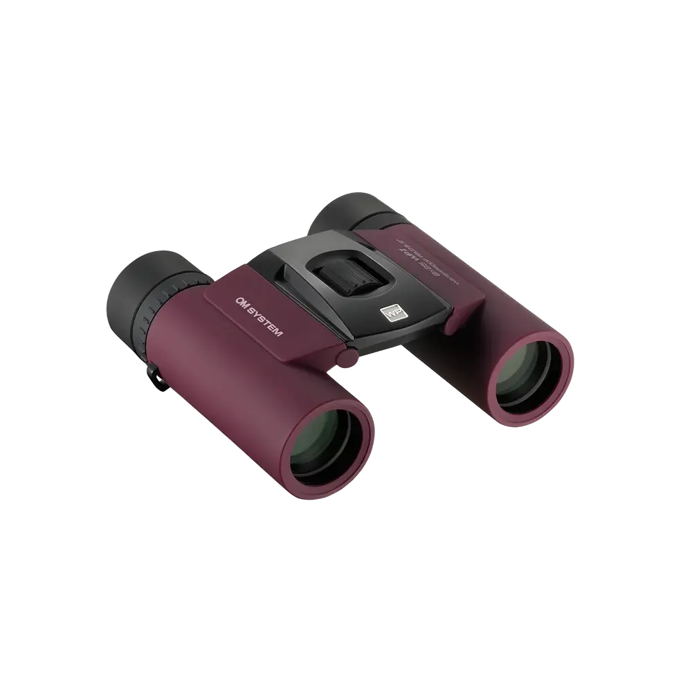 Olympus 8x25 WP II Binoculars